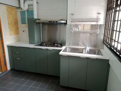Blk 13 Holland Vista (Queenstown), HDB 3 Rooms #623563701